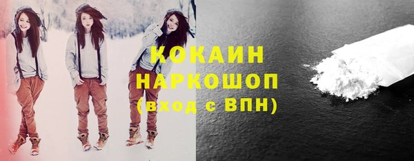 стафф Вязьма