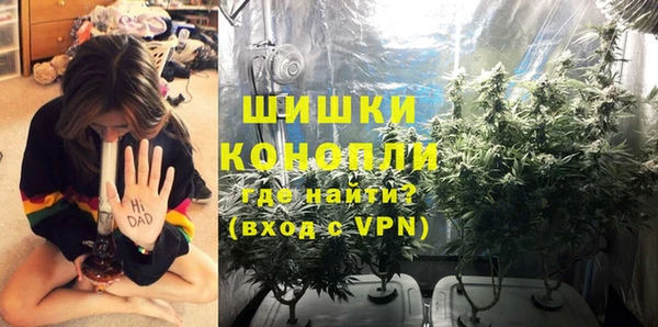 гидра Вязники