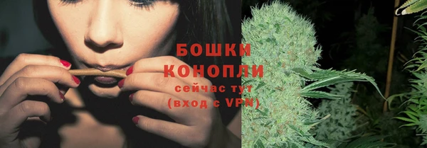 стафф Вязьма