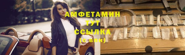 стафф Вязьма