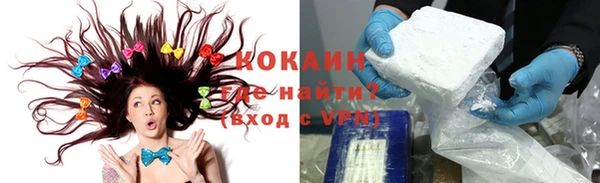 гидра Вязники