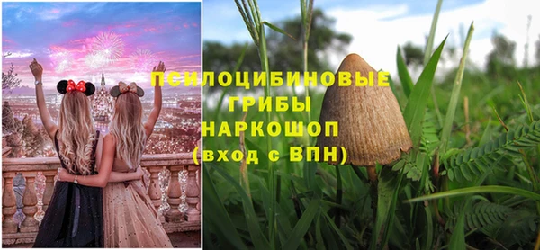 гидра Вязники