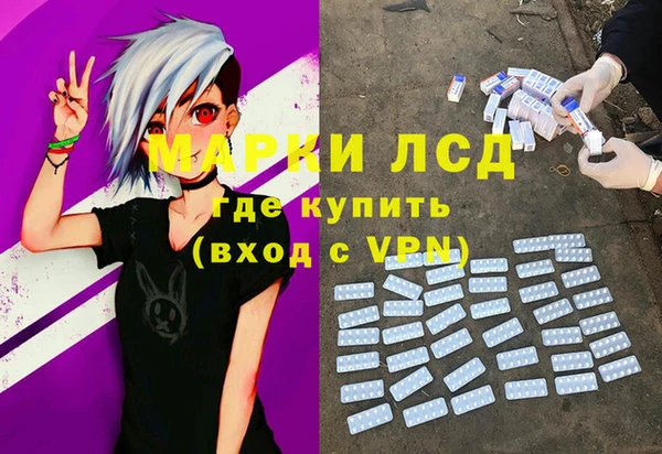 гидра Вязники