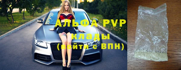 стафф Вязьма
