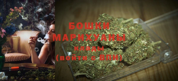 стафф Вязьма