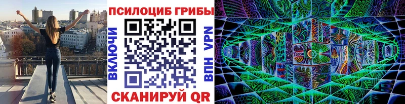 цена   маркетплейс как зайти  кракен сайт  Галлюциногенные грибы Psilocybe  Березники 